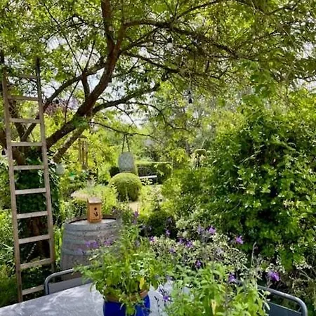 L'architecte - Maison Design Avec Jardin *